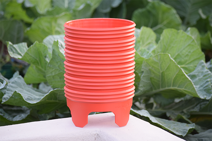 Grow Rings, 7 inches, Red - 6 Pack